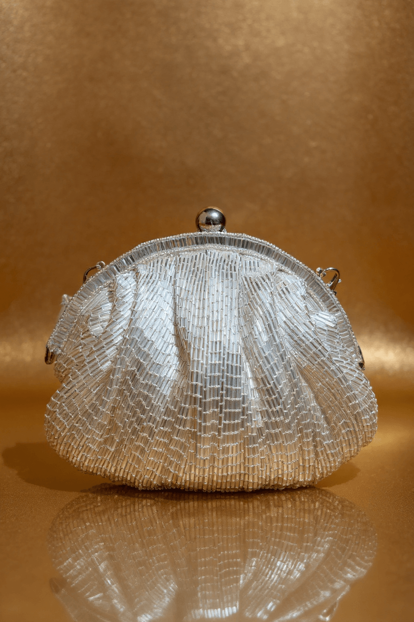 Silver Cutdana Pouch Clutch